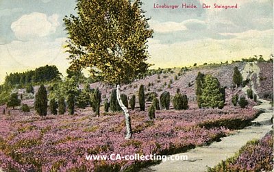 LÜNEBURGER HEIDE - DER STEINGRUND. Farbpostkarte...