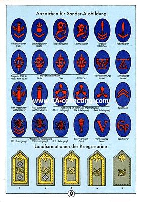 FARBIGE UNIFORMTAFEL 15x11cm mit Uniformabzeichen der...