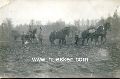 PHOTO 9x14cm: Soldaten beim Pflügen eines Feldes....